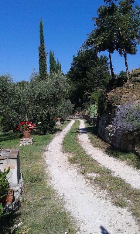 Villa L'Antica Mola Castel Madama Zimmer foto