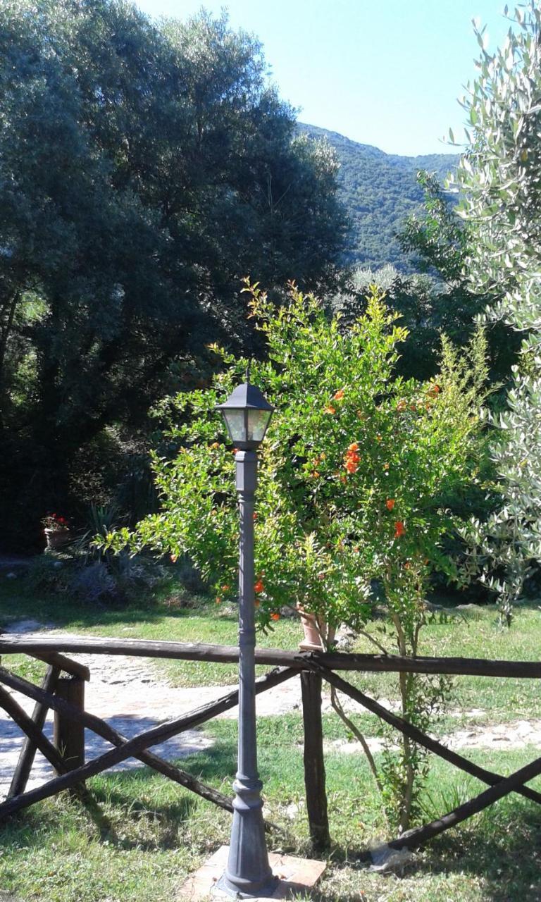 Villa L'Antica Mola Castel Madama Exterior foto